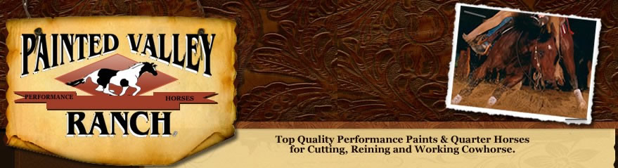 Painted Valley Ranch -Black Forest, Colorado- Top Quality Performance Paints & Quarter Horses 